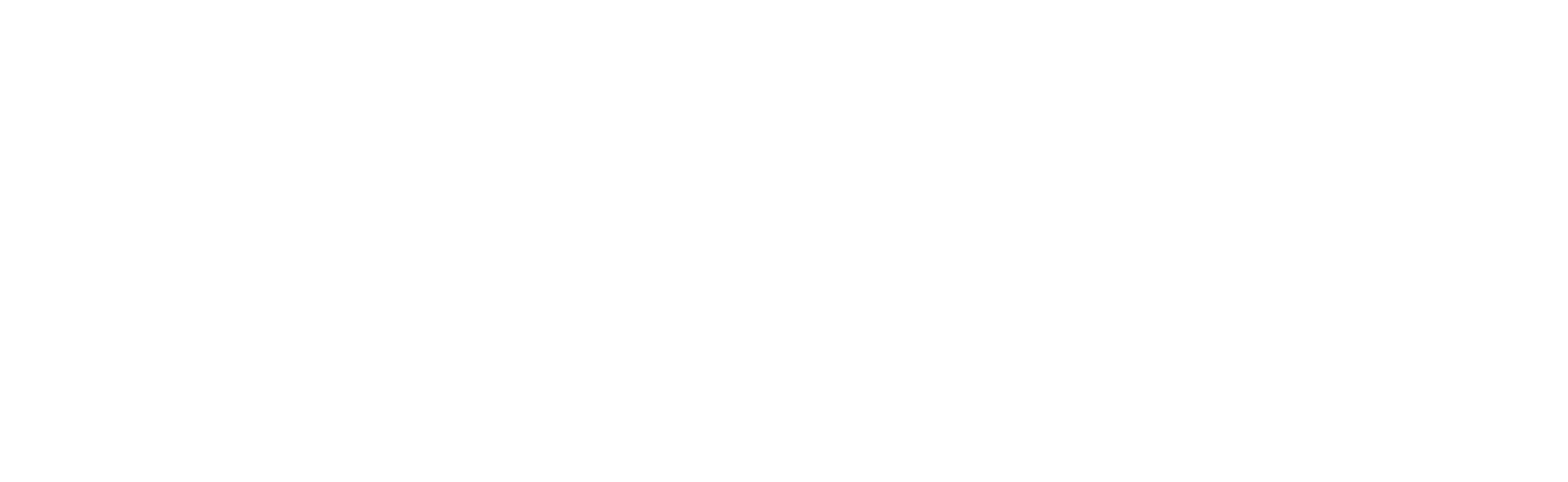 Hotel Wartmann